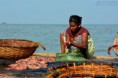 /album/mostra-vite-a-colori/sri-lanka-mercato-del-pesce-a-negombo-jpg1/
